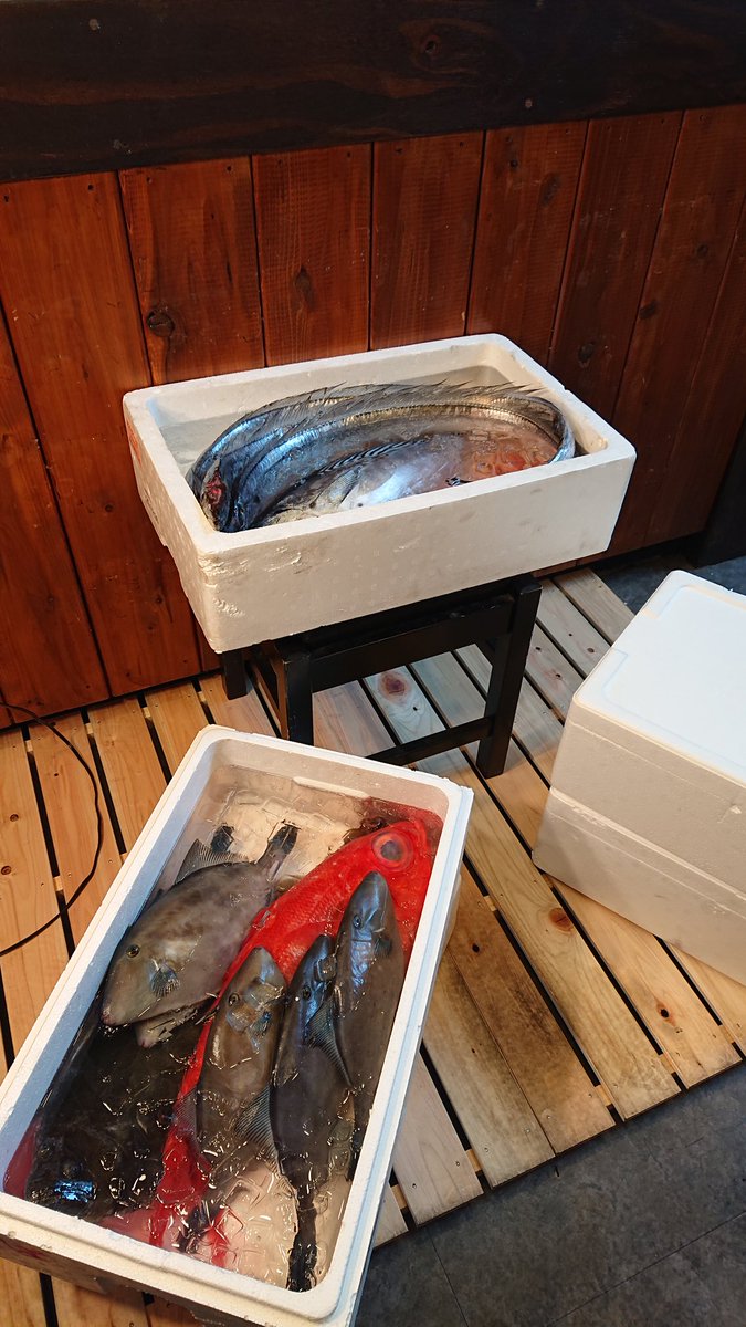 やぱおだ 本日のお魚達 太刀魚 金目鯛 ヒラメ ウマヅラハギ スマ等々 オススメは太刀魚三昧 刺身 天ぷら 塩焼きで 980 やぱおだ 本日のお魚達 太刀魚 金目鯛 ヒラメ ウマヅラハギ スマ等々 オススメは太刀魚三昧 刺身 天ぷら 塩焼きで 980