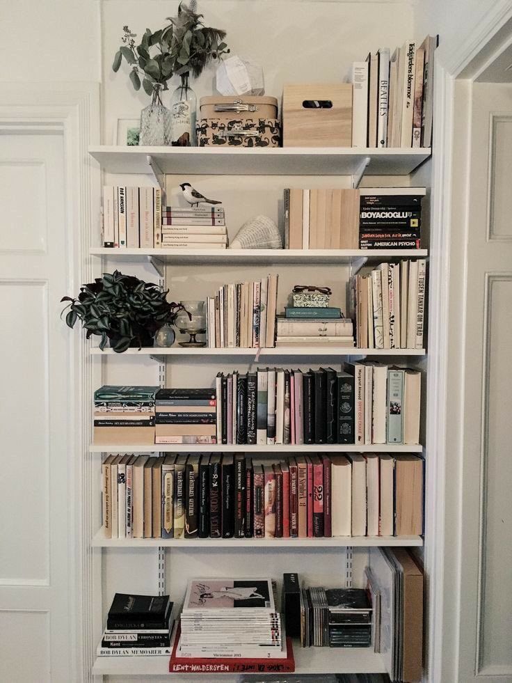 itgirlonfilm's tweet photo. bookshelves make me so happy https://t.co/0Ubw9fQbPc