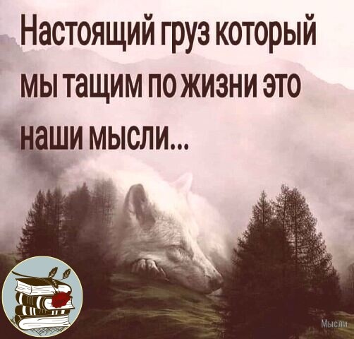 izbrannoye's tweet photo. https://t.co/AQEODTcfKp