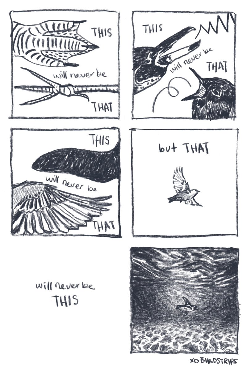 Bird Strips tweet media