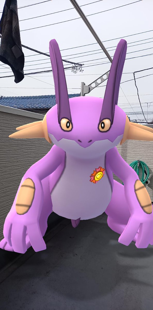 Nemuiyo777 がんばリボン が付いた 小汚いぞうきん失礼 ポケモンgo がんばリボン ラグラージ