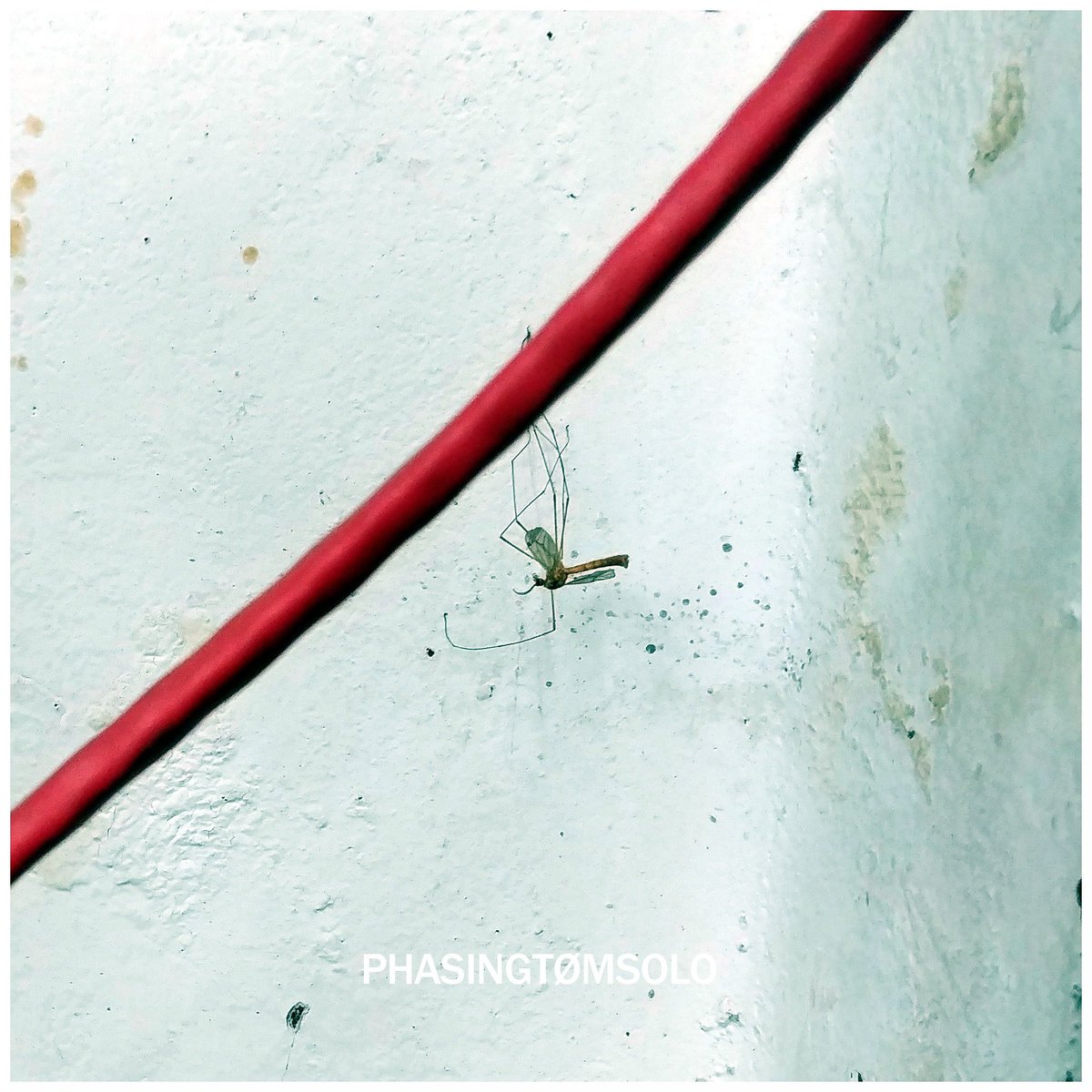 phasingtomsolo's tweet photo. PHAINGTØMSOLO presents: QUEUES FOR ASHES. https://t.co/vAKRkVfAVy https://t.co/geS9kXfQtF