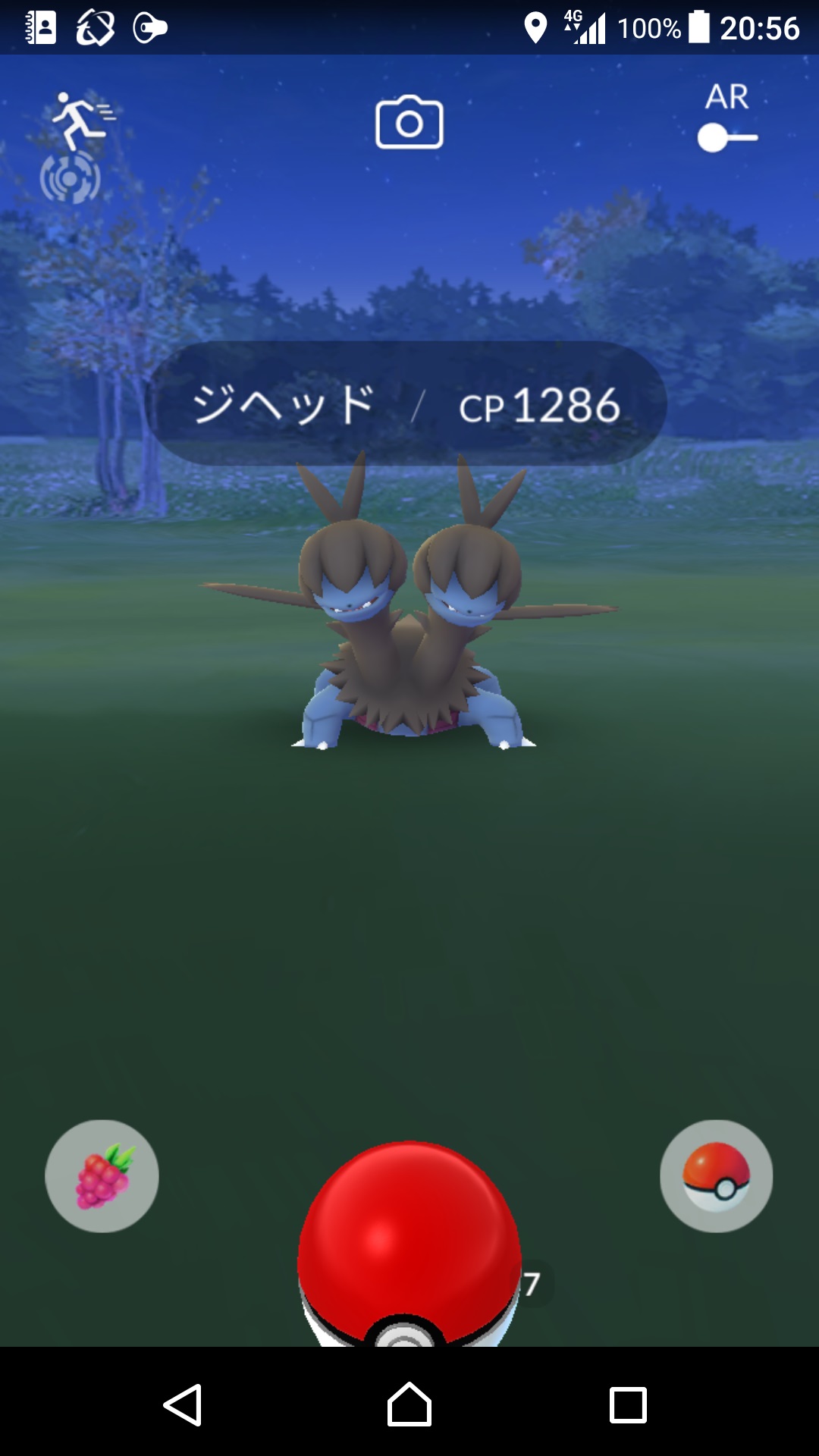 おおざる ポケモンgo 珍しい ジヘッド を野生でゲット ニアバイで影を見た時は名前はわからないが モノズ の進化系なのはすぐわかった 銀パイルを使う勇気が無くて金ズリで もちろん図鑑初登録 T Co Rynkmk3amp Twitter