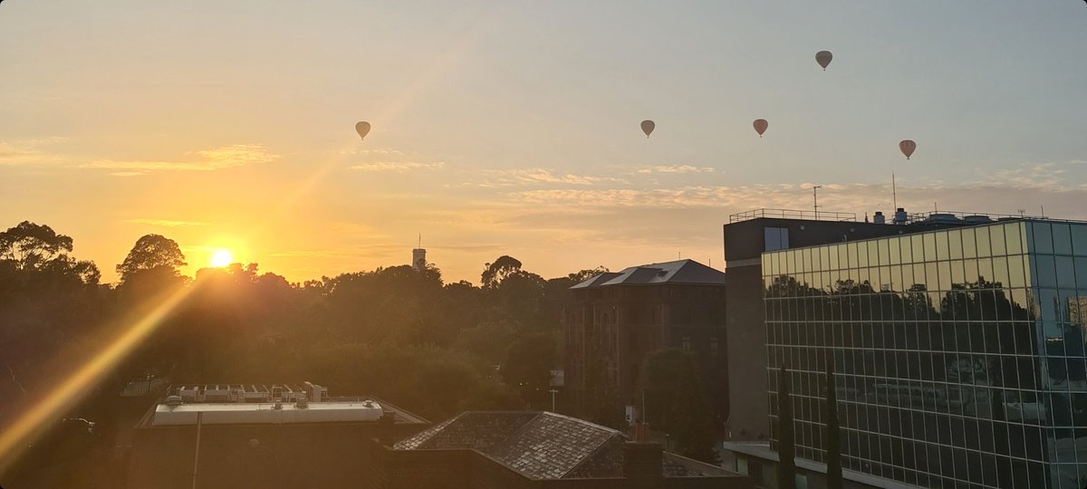 This morning I was surprised by hot air balloons rising over the Melbourne Botanical Gardens at sunrise. It was a spectacular sight to see.