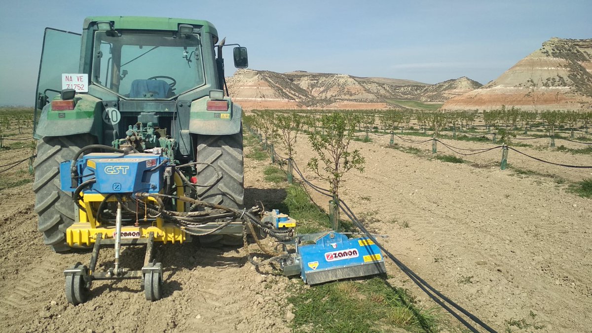 irenenonay's tweet image. Estos días estamos probando una picadora pequeña para poder quitar las hierbas que crecen en la línea de plantación. No le hace daño a los #almendros y así evitamos usar herbicidas aunque nos cueste más horas de #trabajo. 

#sinherbicidas #Navarra #bardenas  #planteses #desert