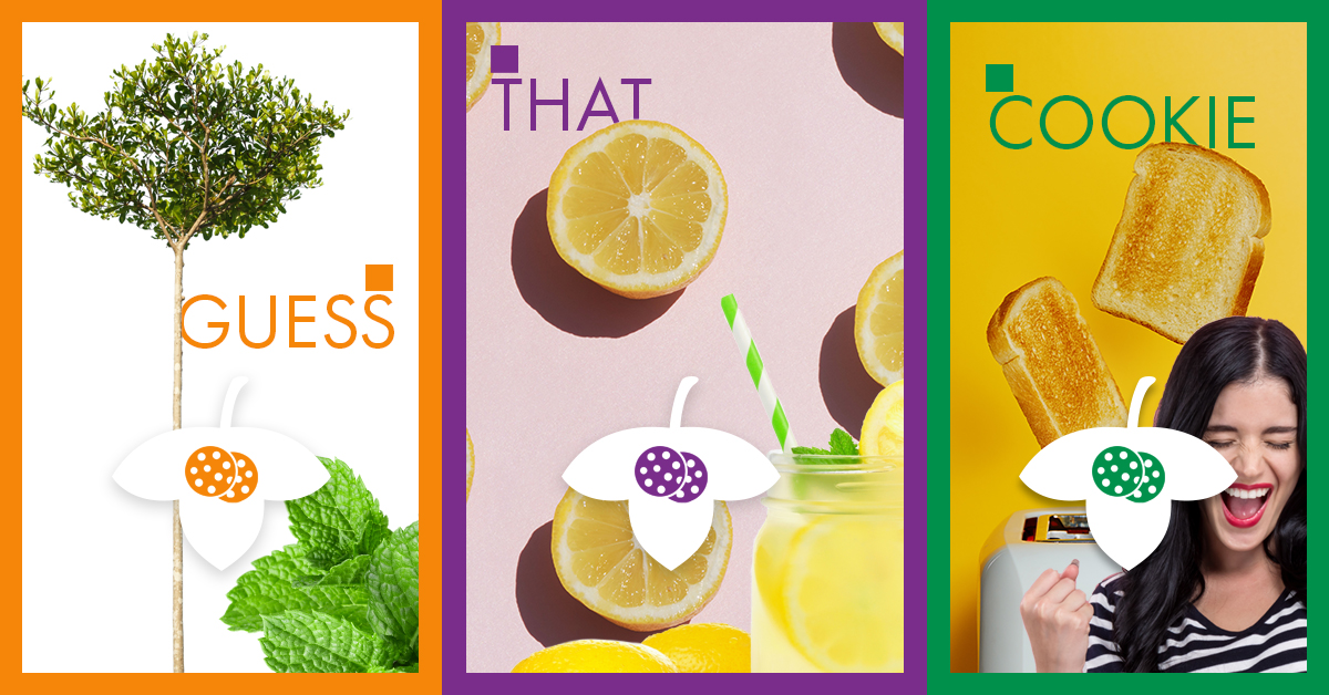 It's National Girl Scout Day and we all love their delicious cookies. Can you guess the 3 flavors below?  #NationalGirlScoutDay