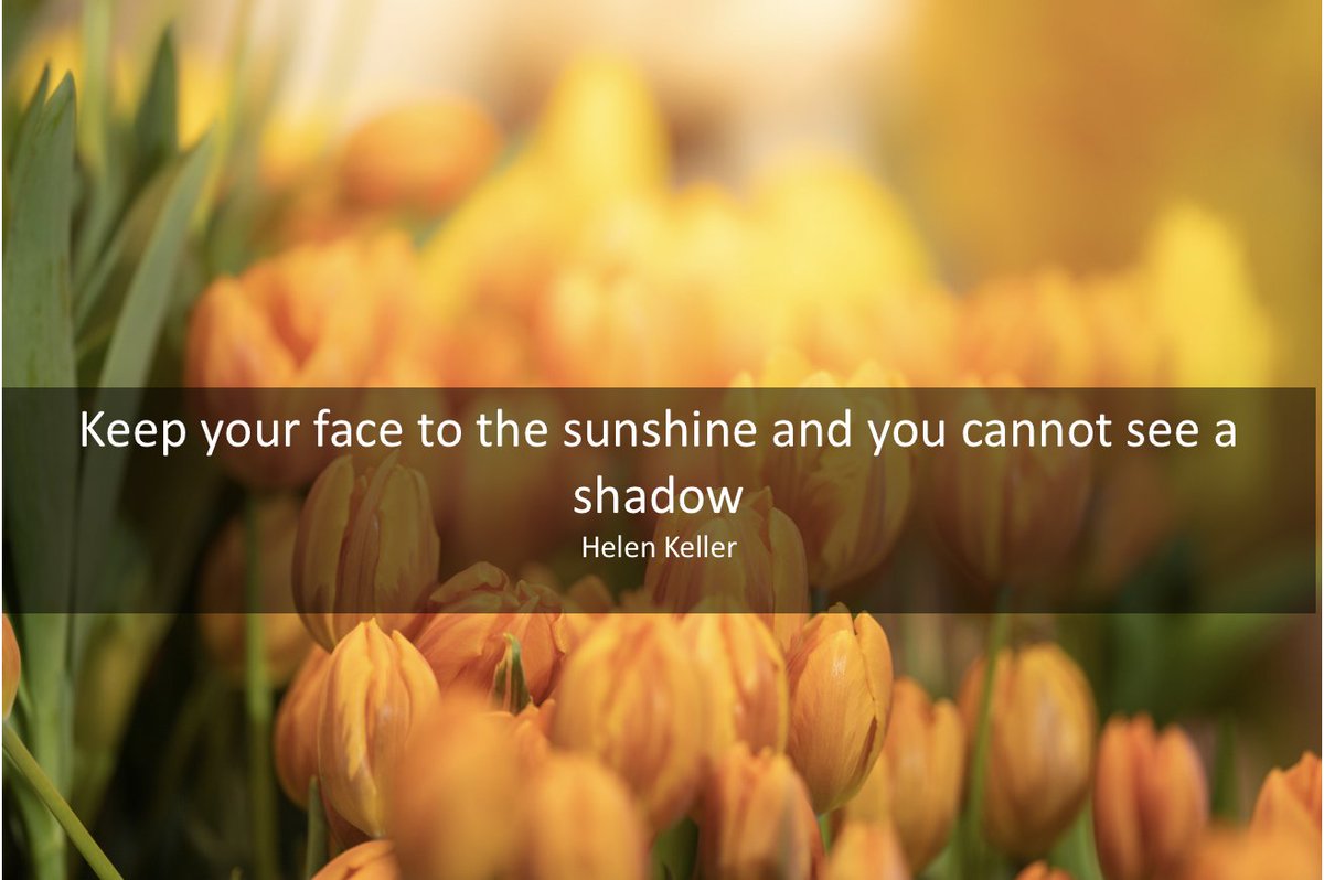 Minerva Engagement (@minervaengage) on Twitter photo 