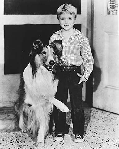 Happy 71st Birthday to JON PROVOST!  