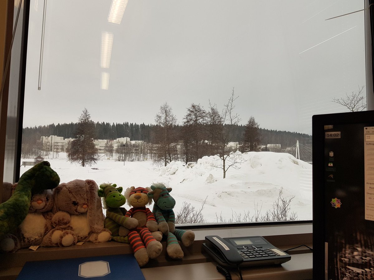 dohernba's tweet photo. Nice view from the lab to the frozen lake for Friday's MEG measurements. @JYUCIBR @JYUedupsy @uniofjyvaskyla #MEGlab #research https://t.co/T0OnBQtLSL