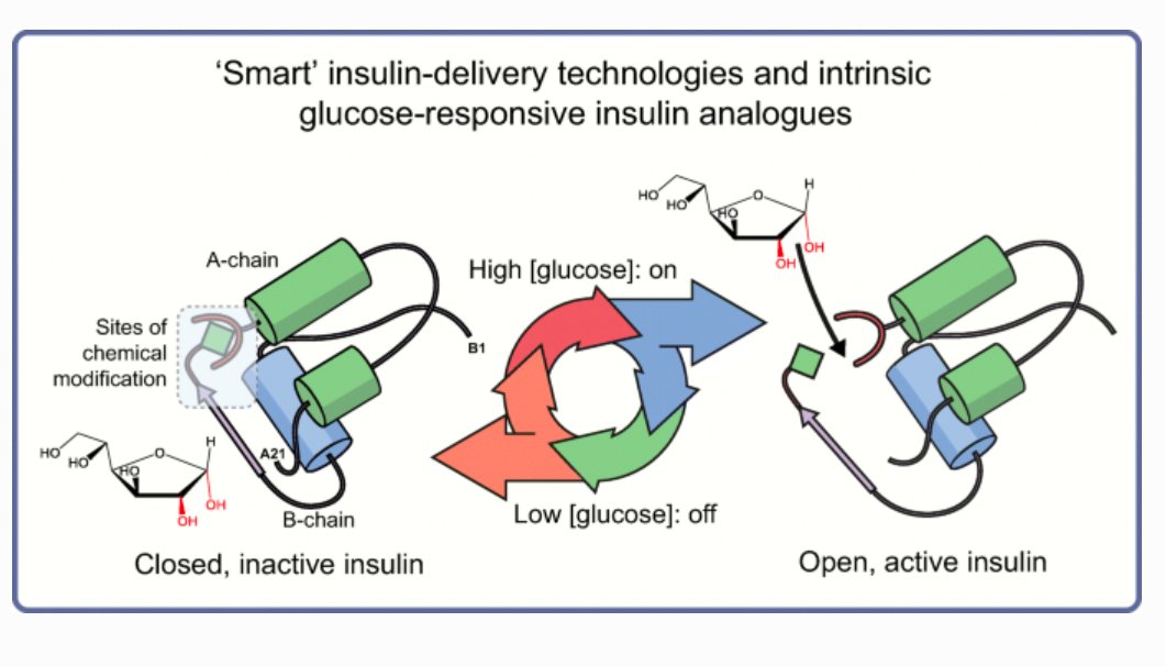 A review of ‘Smart’ insulin-delivery technologies &amp; intrinsic glucose-responsive insulin analogues for optimal glycaemic control in #T1D &amp; long-standing #T2D. #InsulinDelivery #InsulinAnalogues #ArtificalPancreas #TimeInRange’ <a href="/IUMedSchool/">IU School of Medicine</a> <a href="/IUSweetTweets/">Center for Diabetes and Metabolic Diseases</a> bit.ly/3qKB6oh