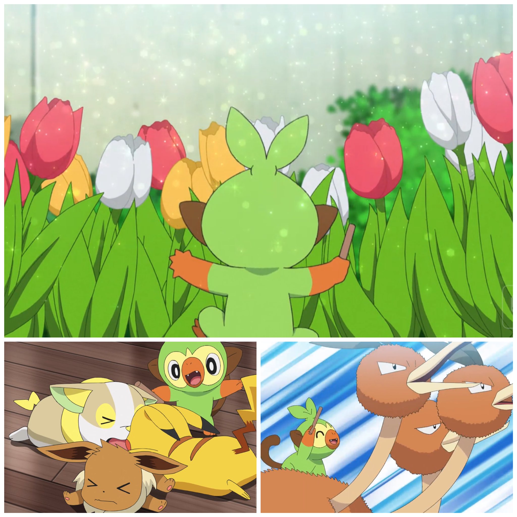 ニュービー アニポケ新無印59話感想 ゴウ まさかのガラル御三家全員getするとはw ヤンチャだけど 実は優しい心もあるサルノリ でもロケット団のポケモンという望まぬ呪縛もある可哀想なポケモン ゴウと出会い 解放してくれるパートナーとなってくれて