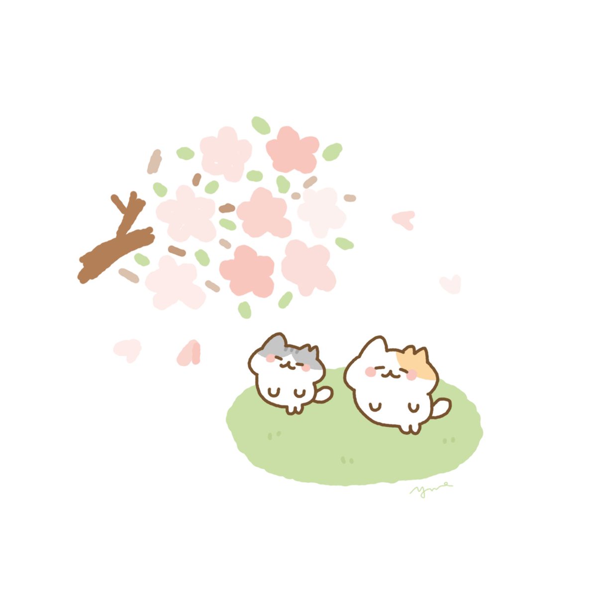 咲いてきたなん？