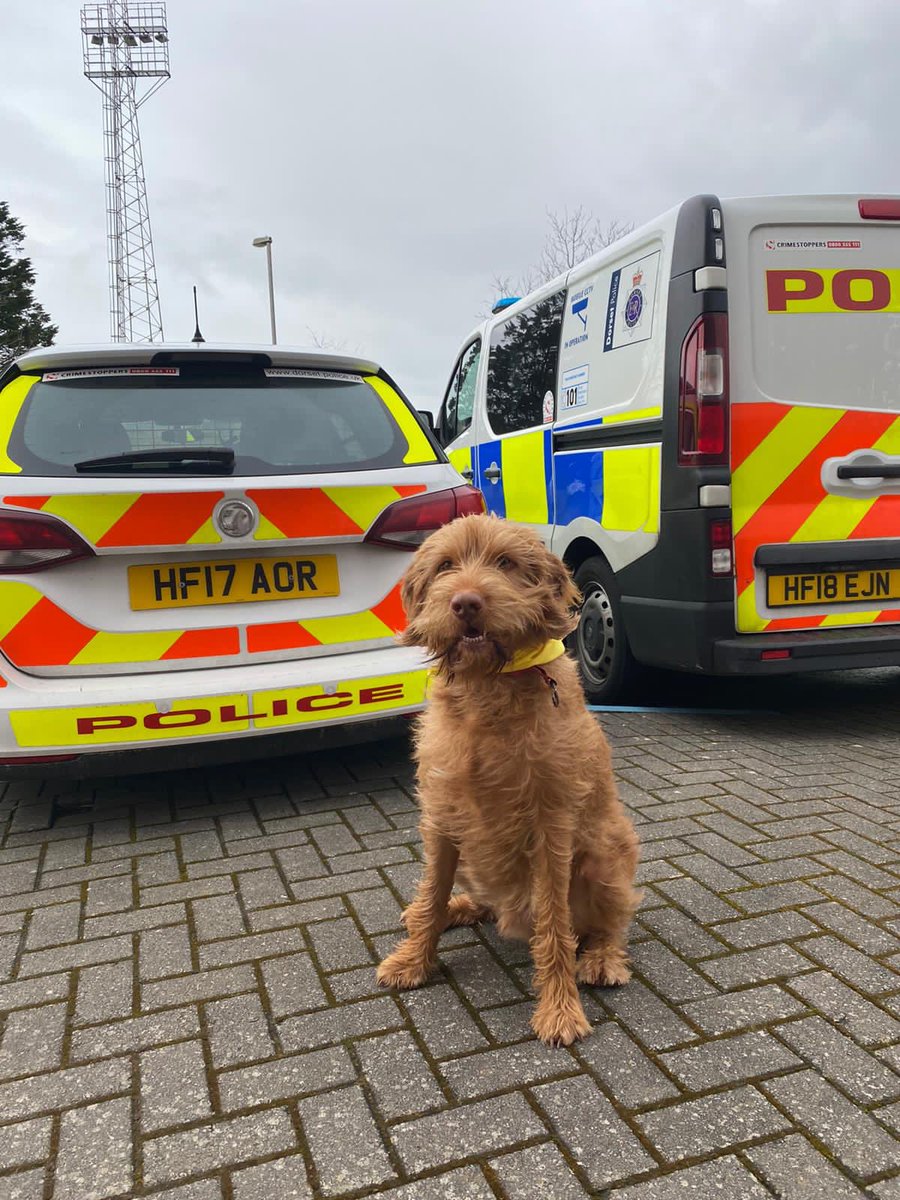 Many thanks to our Well being lead <a href="/SandraRigby_/">Sandra Rigby</a> who introduced Hogan her well-being dog to Weymouth officers this morning lots of great feedback <a href="/OscarKiloNine/">OscarKilo9</a> @CCJamesVaughan @ACCSamdeReya @MarkCallaghanDP @carolin72739117