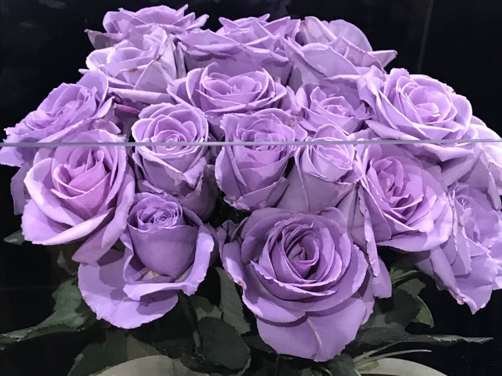 Hiro0804t Sweetie 花言葉 私の1番好きな花は薔薇 赤いバラの花言葉は 山p あなたを愛します でも どんな花よりあなたの方が 華 があり 喩え逆境の中でさえも 誇り高く品があり高貴で美しく 咲き誇っている 実は 紫のバラ の花言葉は Hiro0804t Sweetie 花言葉 私の1番好きな花は薔薇 赤いバラの花言葉は 山p あなたを愛します でも どんな花よりあなたの方が 華 があり 喩え逆境の中でさえも 誇り高く品があり高貴で美しく 咲き誇っている 実は 紫のバラ の花言葉は
