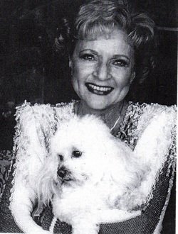 NetwrkQueen's tweet photo. We named her after a Golden Girl, Betty White. Although she acts more like Sophia than Rose. #animaladvovate #dogs #pets #BettyWhite https://t.co/kPS3vgeiKv