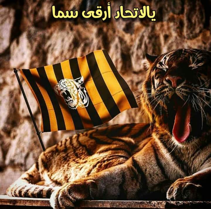 Mustafa (@itii__18) on Twitter photo وقل للشامتين بنا أفيقوا
فإن نوائب الدنيا تدورُ
رأيتُ الدهرَ مختلفًا يدورُ
فلا حزنٌ يدومُ ولا سرورُ
وقل للشامتين بنا أفيقوا
سيلقى الشامتون كما لقينا
جميلة الدنيا عندما تدور.➰
<a href="/ALAHLI_FC/">النادي الأهلي السعودي</a> وقل للشامتين بنا أفيقوا
فإن نوائب الدنيا تدورُ
رأيتُ الدهرَ مختلفًا يدورُ
فلا حزنٌ يدومُ ولا سرورُ
وقل للشامتين بنا أفيقوا
سيلقى الشامتون كما لقينا
جميلة الدنيا عندما تدور.➰
<a href="/ALAHLI_FC/">النادي الأهلي السعودي</a>