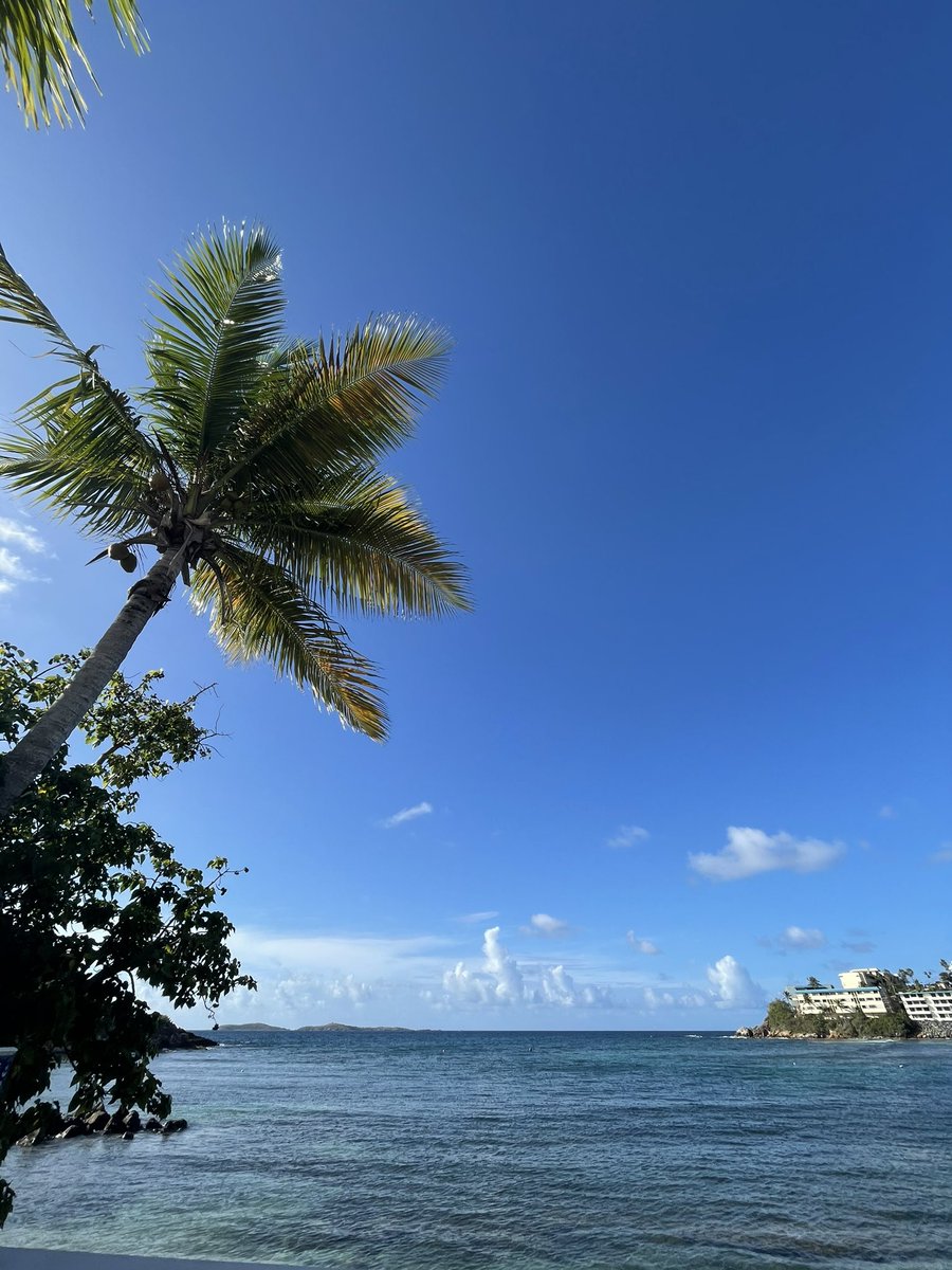 ShaneMcDevitt's tweet photo. Two days in... ☀️ 🌴 🌊 🍹 🧘🏼‍♂️ https://t.co/kJy1BsvXkt