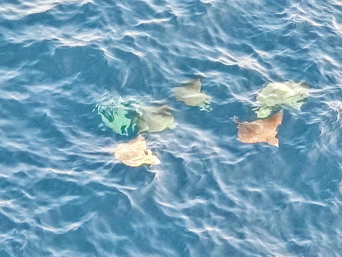 เห็นน้องที่ฐานบอกมีกลุ่มเด็กแว้นมาซิ่งอยู่ที่ทำงานหลายวันแล้ว ติดงาน Project กลับฐานดึกทุกวัน ไม่เคยได้เจอเลย วันนี้ได้เจอกันสักที มาเป็นแก๊งจริง ๆ 🤣 ✌️