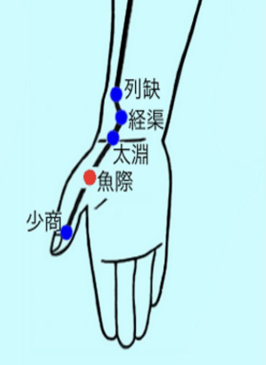 健幸トレーナー 今日は金曜日ですが食べすぎ飲みすぎ注意ですよ そんな時の助けのツボは魚際 ぎょさい です 手のひらの親指付け根にある膨らんだ筋肉にあります 消化吸収をよくするのでこうゆう時にはピッタリですね 指 手の疲れ解消にも効果ある