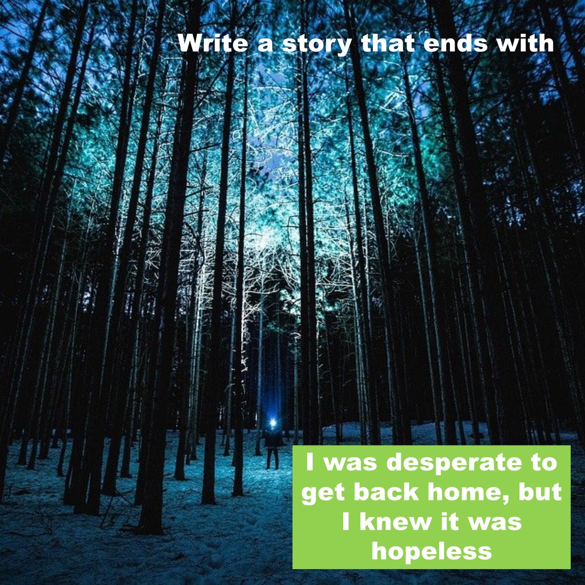 HBKEnglish tweet media