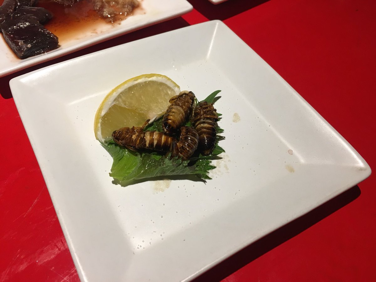 べし太郎 秋例け21a على تويتر トドの刺身 イノシシの肉 スズメ 虫ちゃん