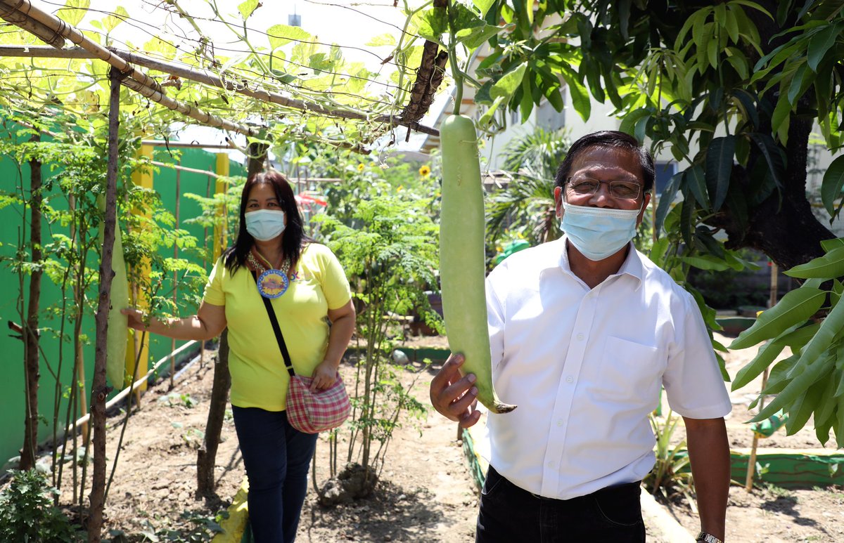 DepEd on Twitter "Kinausap ng grupo ang mga dentista at nars na siyang