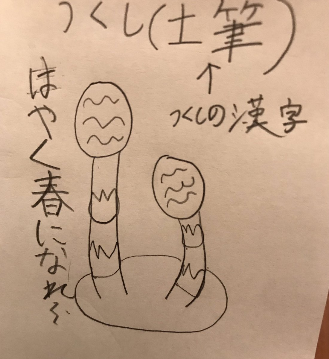 Culus キュラス フレフレ絵描き歌 フレフレえかきうた フレフレフライデー つくし Zipfm Culus キュラス フレフレ絵描き歌 フレフレえかきうた フレフレフライデー つくし Zipfm