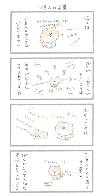 ご主人の言葉
#こんにちはいぬです 