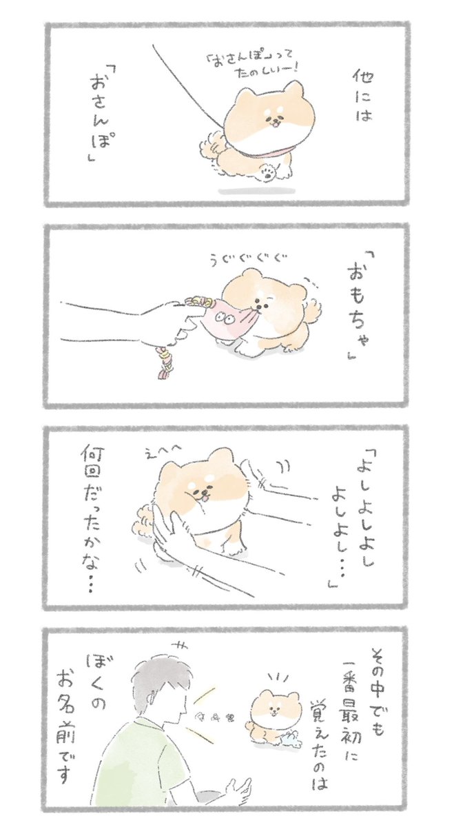 ご主人の言葉
#こんにちはいぬです 