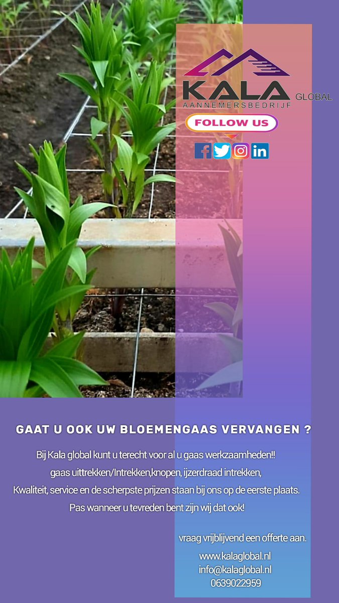 Bij Kala global kunt u terecht voor al u gaas werkzaamheden!! 

Vraag vrijblijvend een offerte aan. 

kalaglobal.nl 
info@kalaglobal.nl 
0639022959