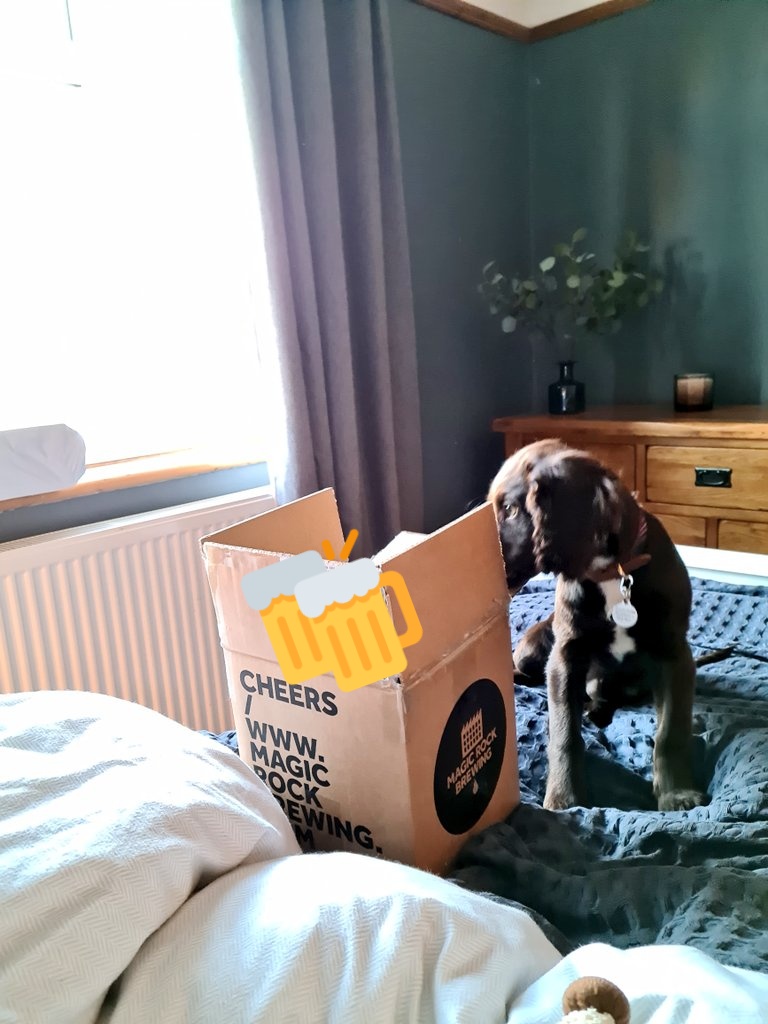 Beth Jackson tweet media