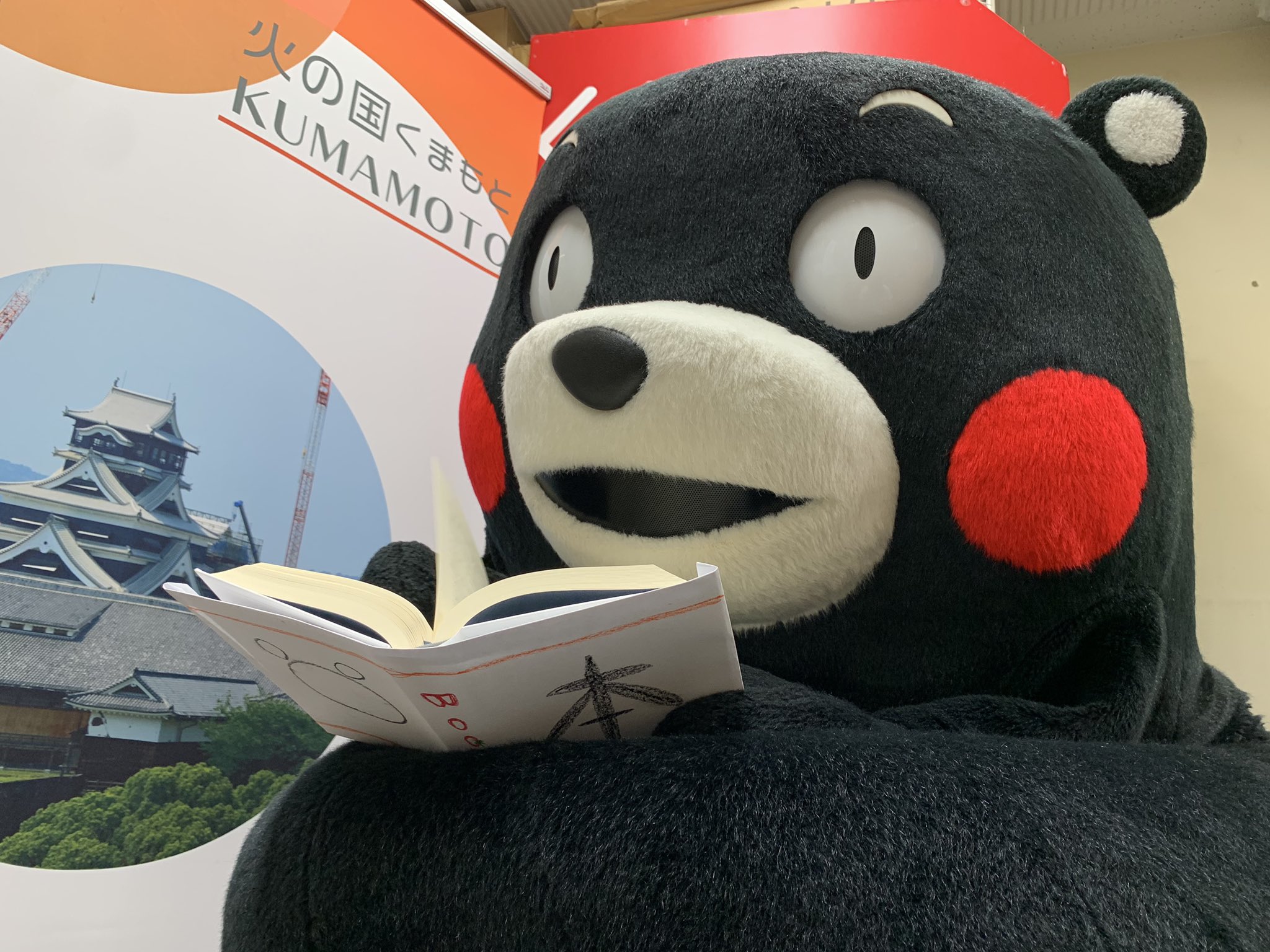 くまモン東京スタッフ 公式 時には真面目に やんちゃで元気いっぱいな男の子 でも いちおう公務員のくまモン 熊本県営業部長兼しあわせ部長は 遊びもお仕事も全力でこなしています 働く男 の子 の背中って素敵ですねー シビれます 笑