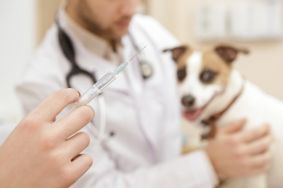 #VeterinaryVaccines Market Research Report With Revenue, Gross Margin, And Future Prospects
Global Veterinary Vaccines Market is segmented into Vaccine Type, Technology and Region. Market to grow at a CAGR of xx% during forecast period 2020 to 2025. 
fostermarketresearch.com/product/indust…