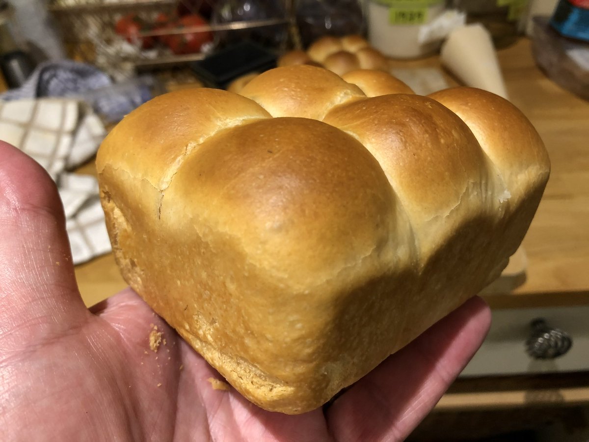 ChefsPass's tweet photo. My tear and share Casa Martinez tin breads are soooo good. Iโve got to make more for the weekend #greatbread #freshbread #handmadebread #tearandshare https://t.co/usnahgZWvG