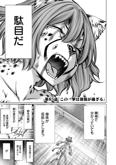 キリングバイツ を含むマンガ一覧 ツイコミ 仮