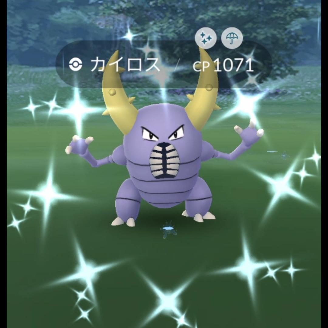 te1111_yy's tweet photo. ✨✨今日の色違い✨✨
なんと今日は４体も😳
お初な子がいないのがタマに傷ですが。
#ポケモンgo色違い
#プラスル
#ディグダ
#ニドラン
#カイロス
#好きなようにgoしよう https://t.co/ZQ29WIJFn7