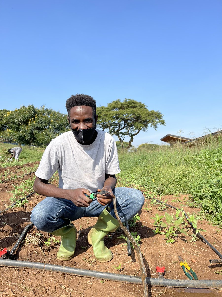 RICA_Rwanda's tweet image. Drip irrigation is an essential part of conservation agriculture and RICA students learn how to implement it on their farm plots. #Rwanda_Edu, #RwandaAgri
