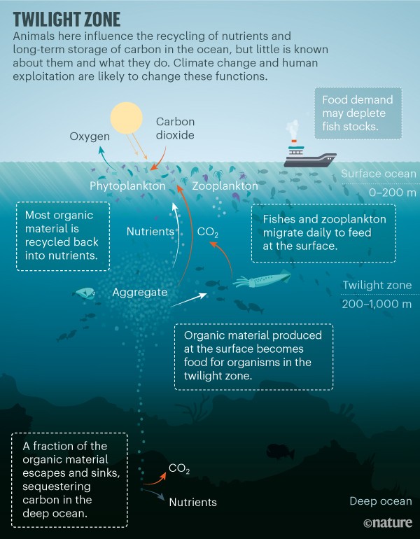 📢
Abstract submission deadline extended until:
Monday, 15 March at 16:00 UTC
📢
ASLO'21 session SS17 is shaping out nicely! Impatient to hear about your mesopelagic research
@SariGiering @StephAHenson @jOceanSan