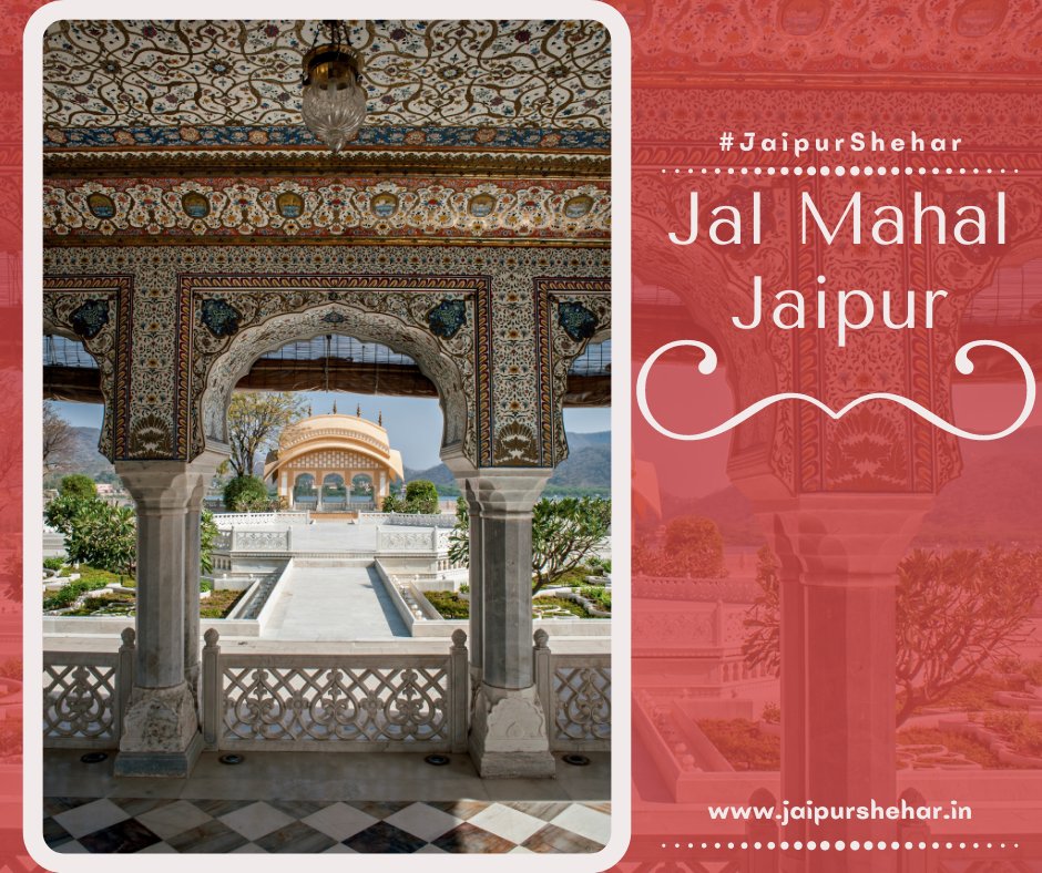 JaipurShehar's tweet photo. Jal Mahal, Jaipur 👌

Did you know that possibly the most serene sight in #JaipurCity is the beautiful #JalMahal - the #waterpalace 
.
🌐 https://t.co/P9r3CderHX
.
.
#JaipurShehar #pinkcity #incredibleindia #tourism #heritage #RoyalCity #photography #jaipurdiaries #architecture https://t.co/QcdT6fPSjd