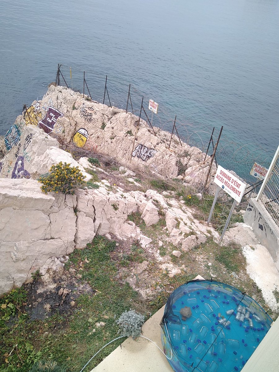 MIO-SSL@MM tweet media