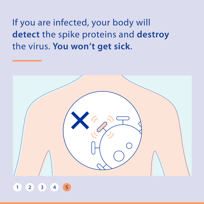 EUCouncil's tweet photo. The EU authorised the 4th #COVID19 vaccine💉

Janssen's (Johnson&amp;Johnson) vaccine uses a mild virus to deliver instructions to your cells so your immune system learns to destroy the coronavirus💪

Find out what is injected into your body &amp; what happens when you get the vaccine👇
