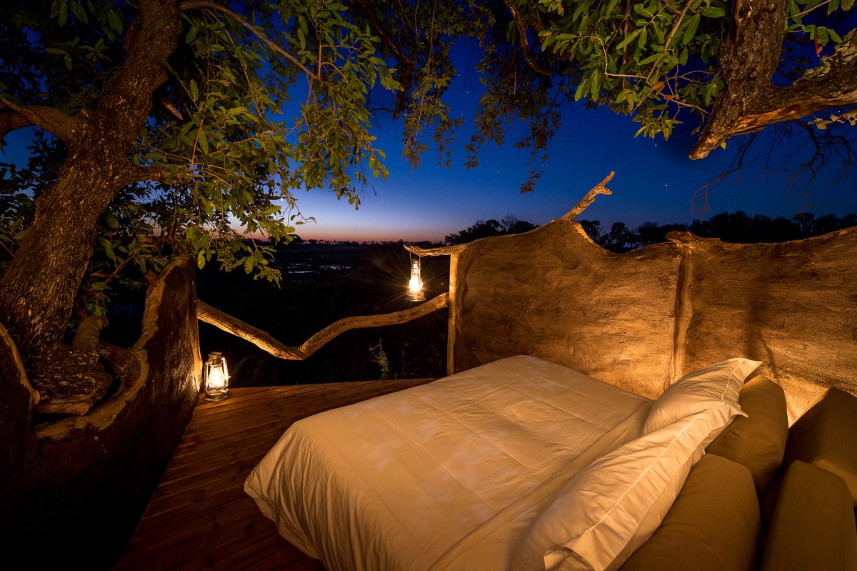 WeAreWilderness's tweet photo. A unique opportunity to get close to nature and experience an extraordinary night under the stars. Amazing Places to Sleep Under the African Stars: https://t.co/IExOY44UrU
#WeAreWilderness #StarBed #AfricanSkies https://t.co/1OhKSaKqxi