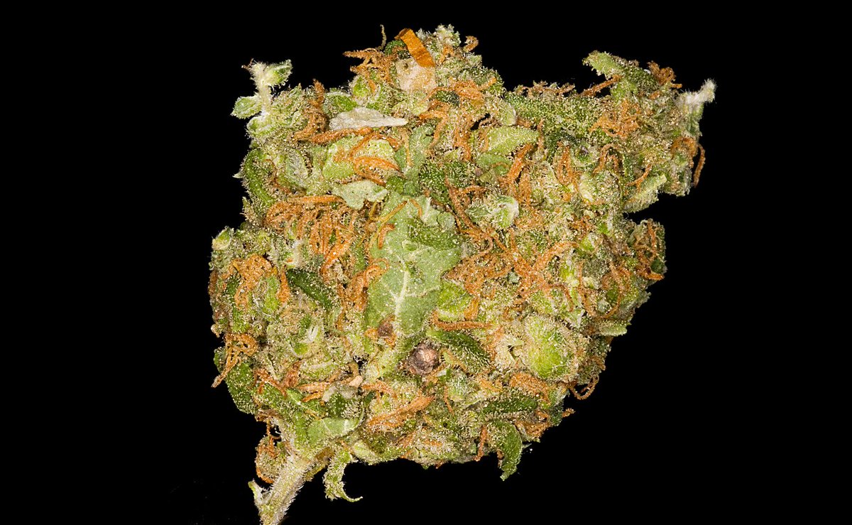 _RHResearch's tweet photo. Academics @RoyalHolloway identified 2 compounds derived from cannabis - CBD &amp; CBG - could function at cellular level to reduce disease-associated changes in conditions including MS &amp; Psychosis. @RHULBioSci @ScienceWeekUK @WilliamsLabRHUL #BSW21 https://t.co/WfkHE8fL41 https://t.co/XBXnr05X5J