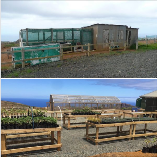 The #StHelenaNationalTrust's #MillenniumForest plant nursery started small with a hut and shade-covered area; in 2018 with funding from BEST 2.0 'Nurseries for Nature' a much larger shade house and standing out area was built. 

@SAERI_FI 
#GenerationRestoration #beforeandafter