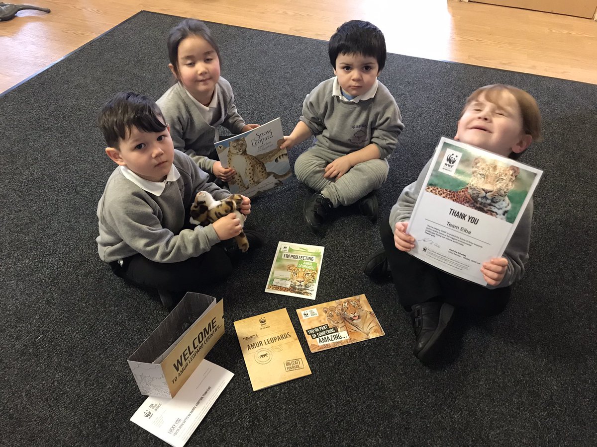 Mrs Colrein 3 year old room tweet media