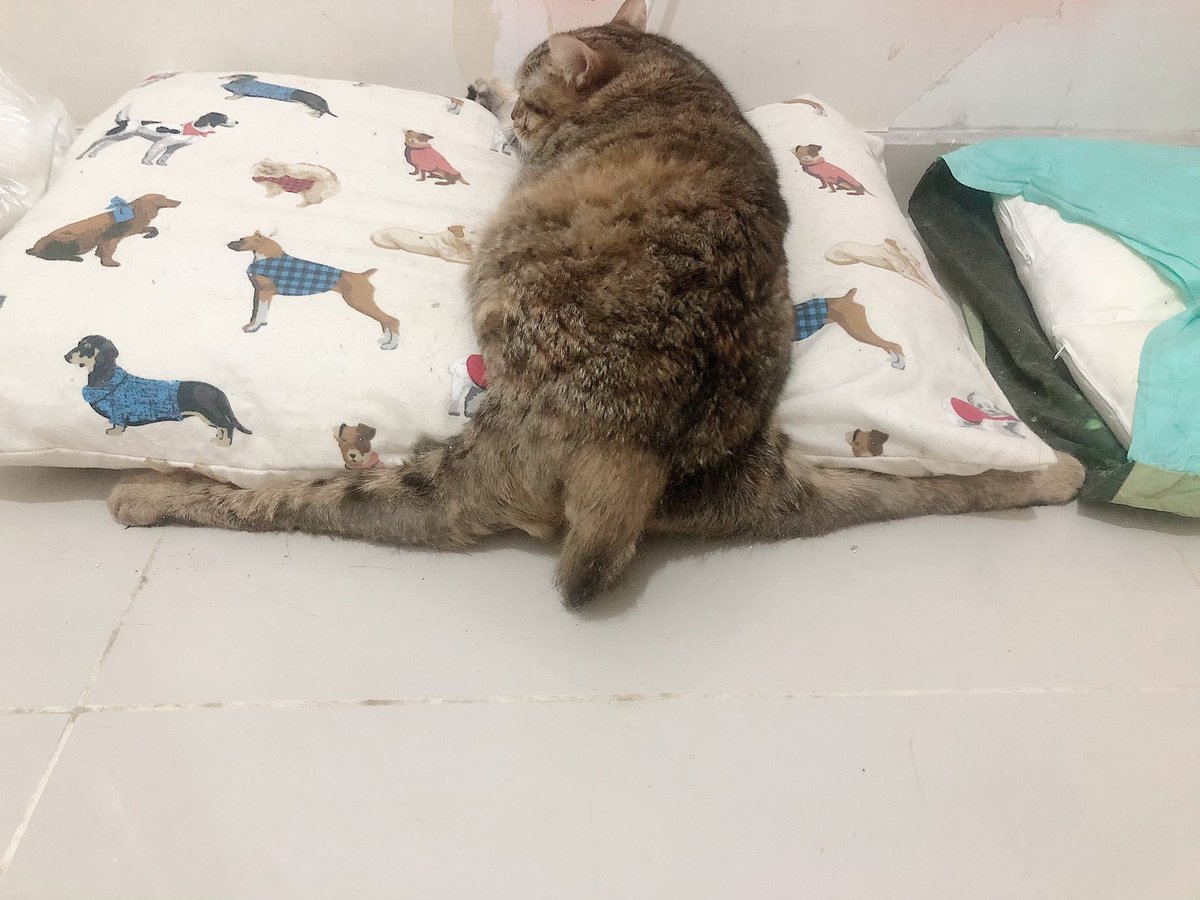 Yaaa🙈 tam ısırmalık değil mi 🥰