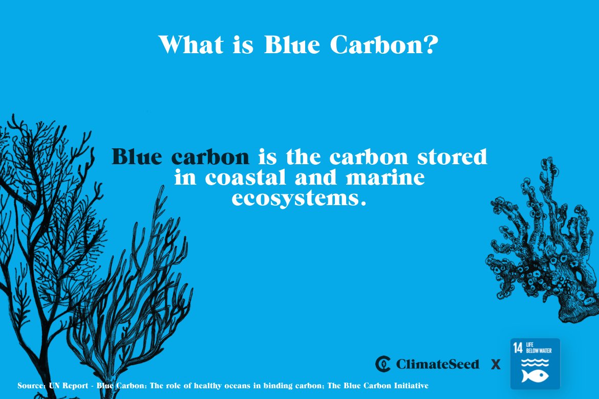 ClimateSeed tweet media