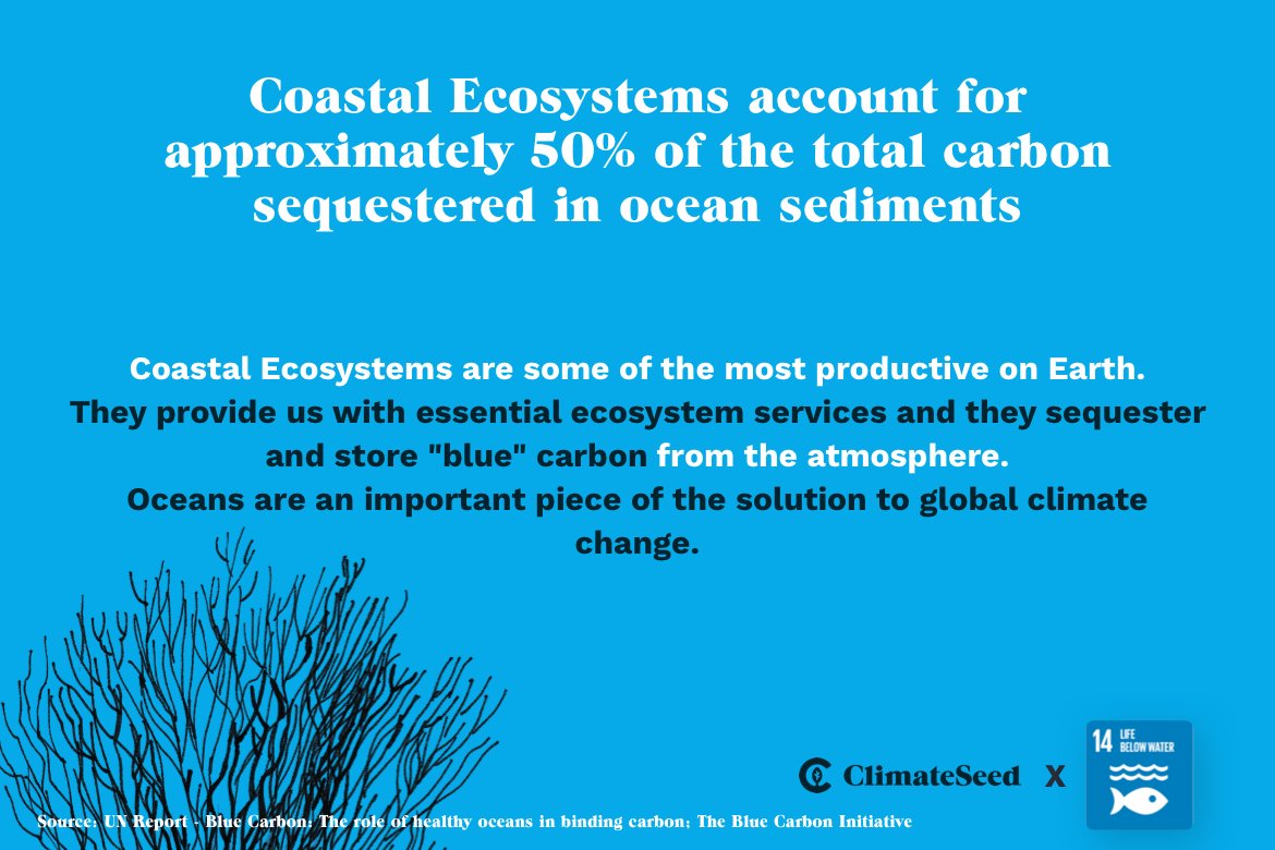 ClimateSeed tweet media
