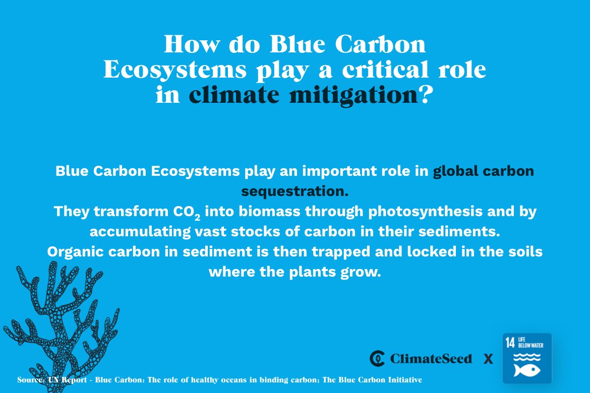 ClimateSeed tweet media