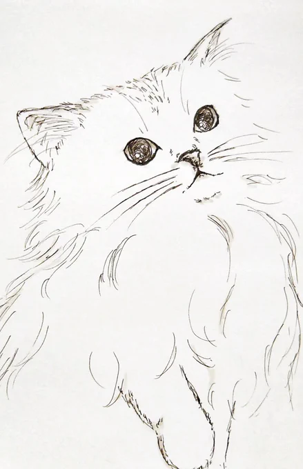 ペン練習⑤ もふもふ、ふわふわ絶賛練習中🐱 #お絵描き #猫イラスト #ねこイラスト #猫好きさんと繫がりたい #猫をTLに流しちゃおう #イラスト好きな人と繋がりたい 